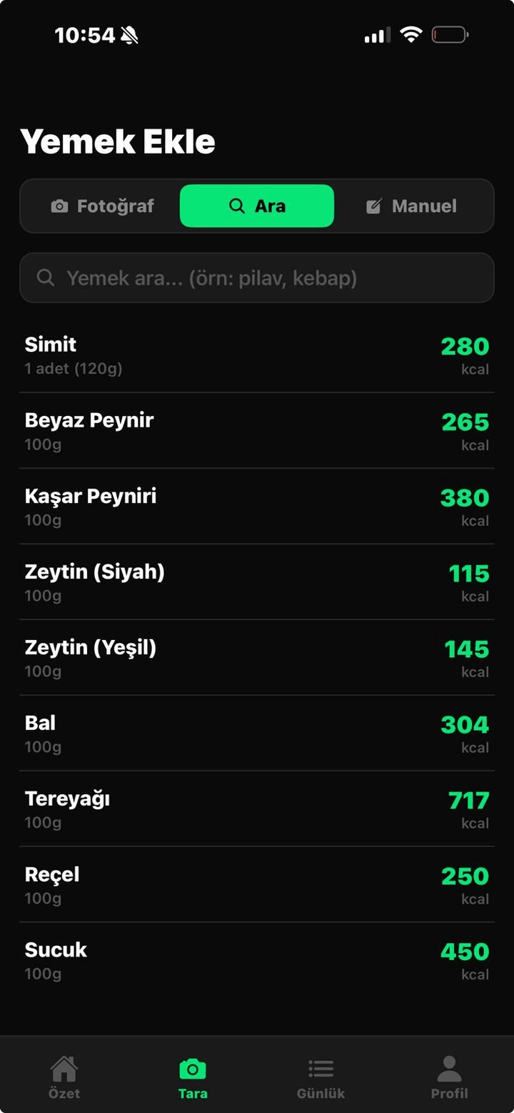 Türk yemekleri veritabanı arama ekranı