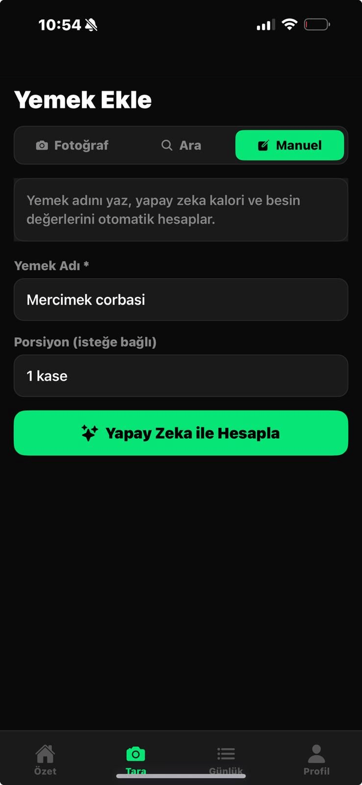 Manuel giriş ekranı